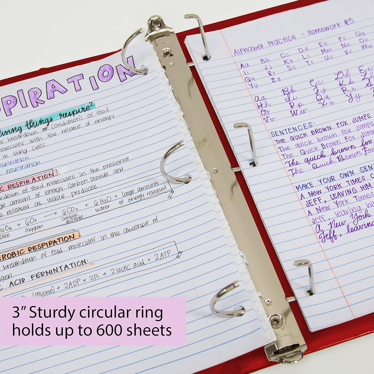 BAZIC Products 3 Ring Binder 3' View Binders Slant D Ring Organizer - Burgundy, Hold 600 Sheets Paper, for School Office Home, 12-Count