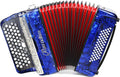 Accordion - 62 Key 60 Bass Professional Piano Model with Backpack & Strap | Lightweight, Portable Design for Beginners, Students & Adult Musicians (Blue)