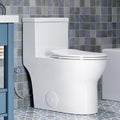 HOROW T0350W One-Piece Elongated Toilet, 17' ADA Chair Height, Dual Flush 0.8/1.28 GPF, MaP 1000g Powerful Flush, Soft-Close Seat, Skirted Design, Square Flush Button, 12' Rough-In, White