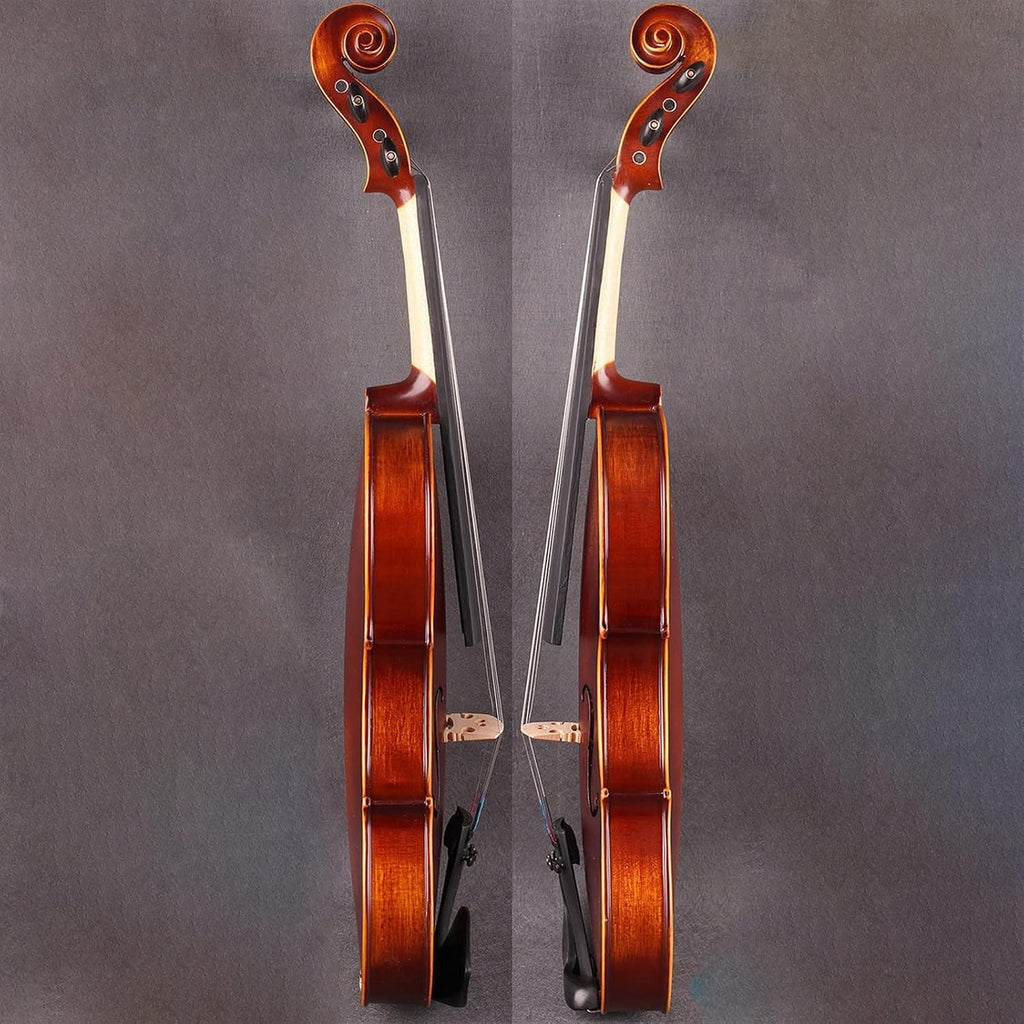 TSTS Solid Wood Rubbed Violin All Handmade Beginner Children Adult Professional Violin Musical Instrument Adults Violins (Color : 4/4)