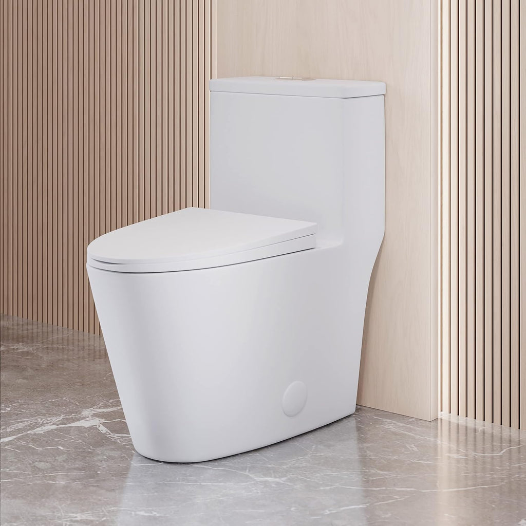 Antibes One Piece Elongated Dual Flush Toilet with 0.95/1.26 GPF