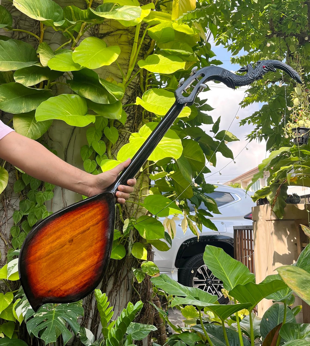 Isarn Acoustic Phin 3 Strings,Thai Lao Guitar Musical Instrument,Traditional Thai Musical Pin N01